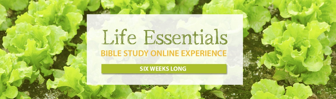 Life Essentials Bible Study Online Experience