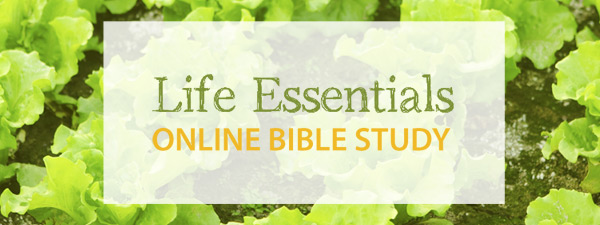 Life Essentials Online Bible Study