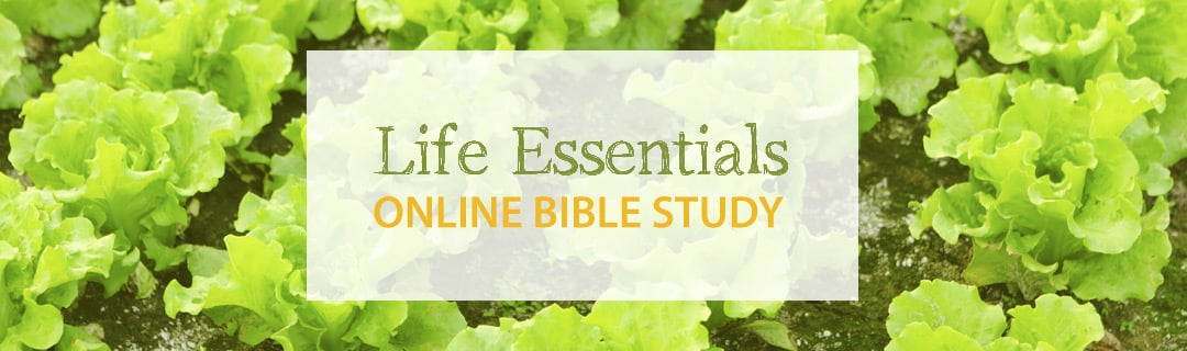 Life Essentials Online Bible Study