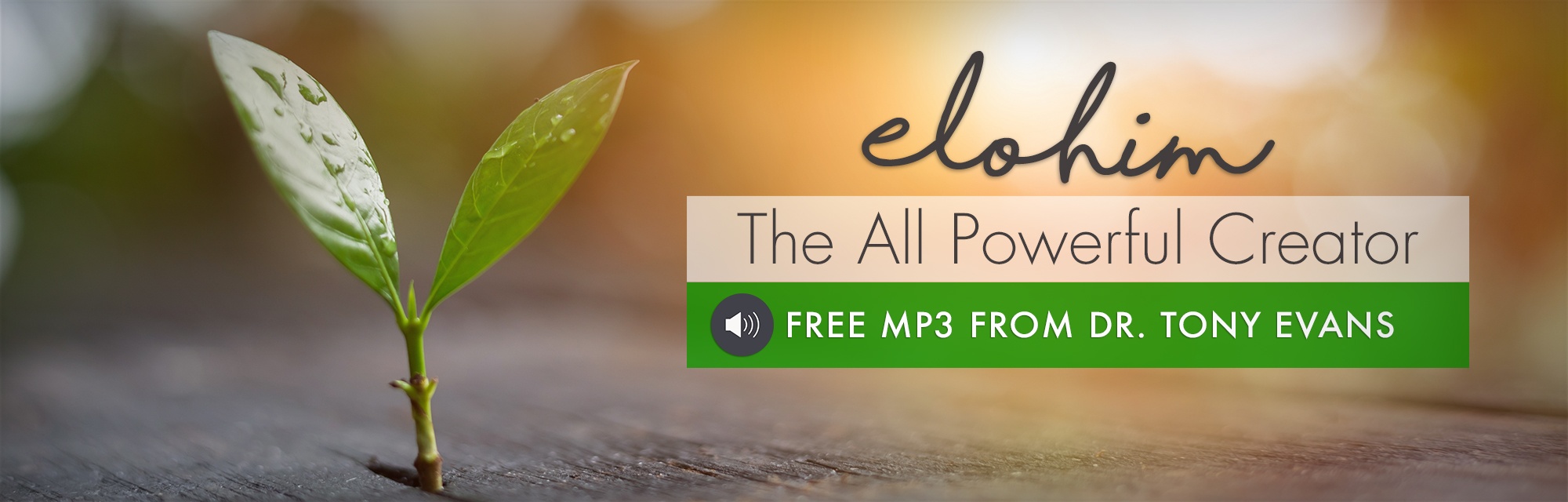 Elohim: The All Powerful Creator