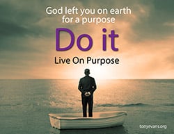 God left you on earth for a purpose. Do it. Live on purpose.