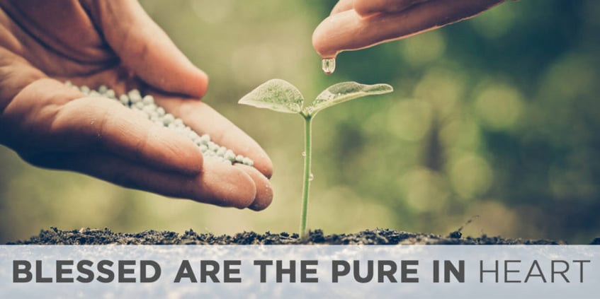 Blessed are the Pure in Heart