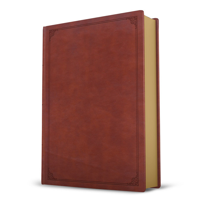 StudyBibleProducts-Tan