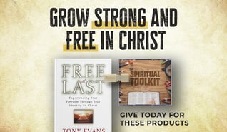 Spiritual Toolkit Series + Free at Last book
