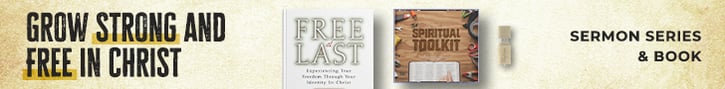 Spiritual Toolkit Series + Free at Last book