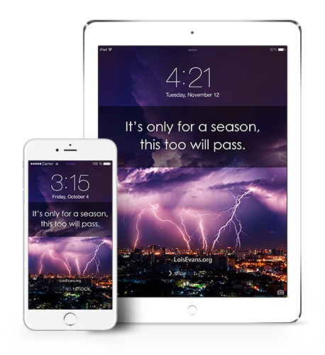 Only-for-a-season-Mockup.jpg