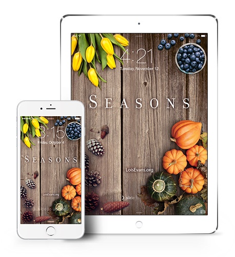 Seasons-2-Mockup.jpg