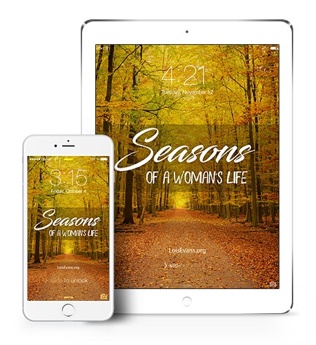 Seasons-3-Mockup.jpg