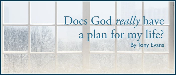 Does God really have a plan for my life?