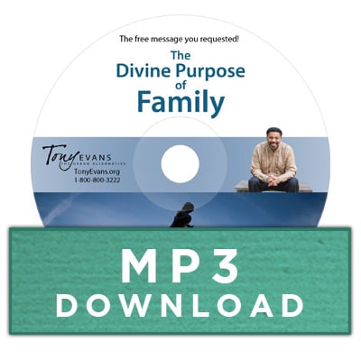 KM-Live-MP3-1.jpg