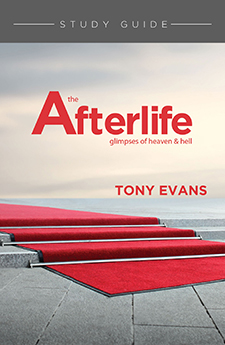 The Afterlife Study Guide