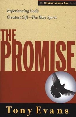 The Promise (Understanding God Series)