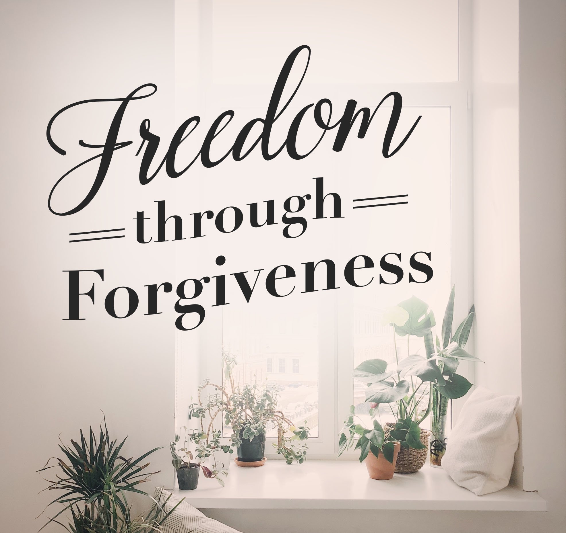 Freedom Through Forgiveness - CD Series