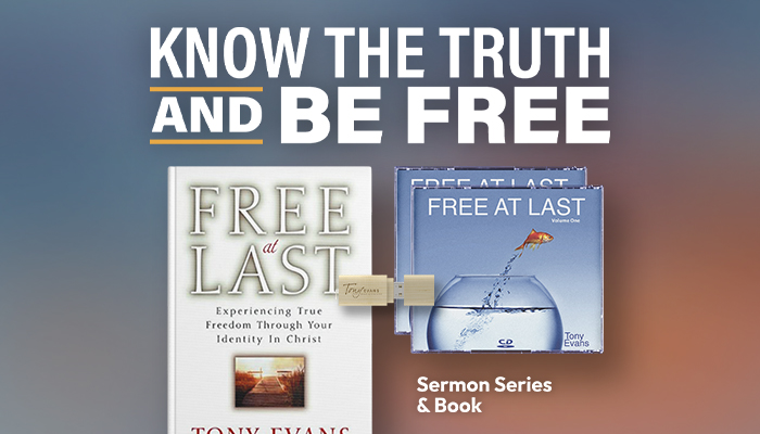 Current Offer: Free at Last series + Free at Last book