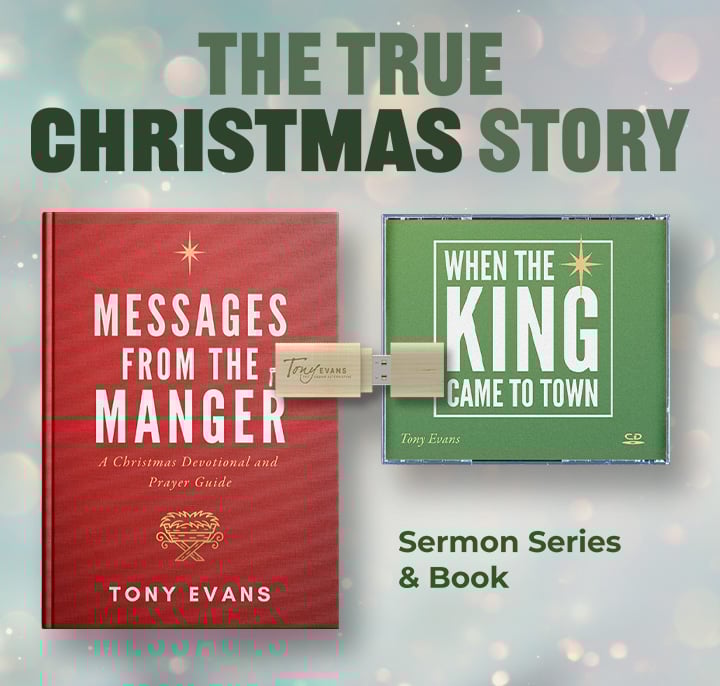 When the King Came to Town series + Christmas book