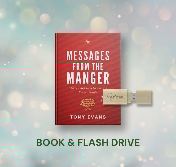When the King Came to Town series on a flash drive + Christmas book