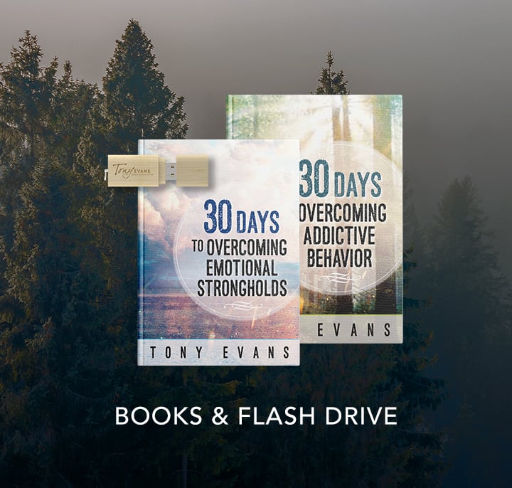 Flash drive + books