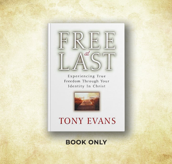 Free at Last book