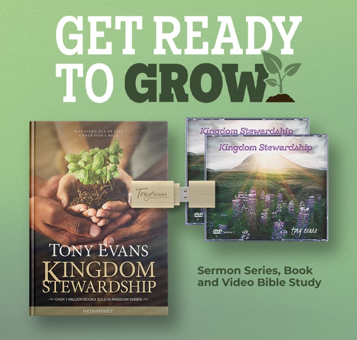 Kingdom Stewardship series + book and video Bible study