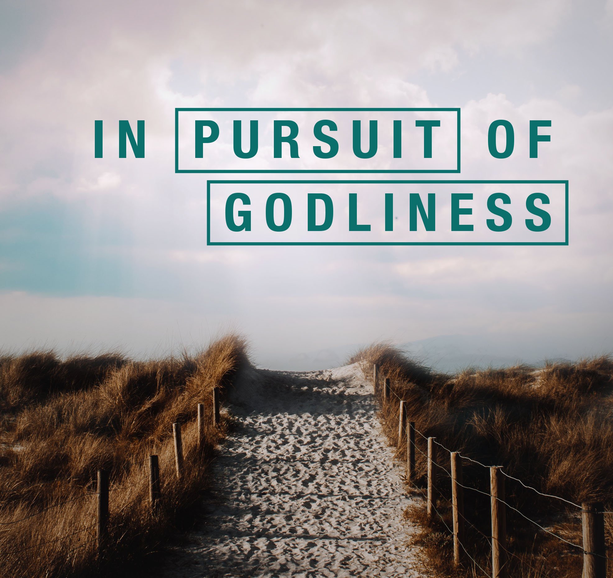 The Meaning of Godliness - CD
